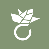Amoonik