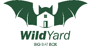 Big Bat Box