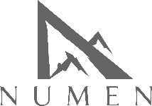 Numen Recovery