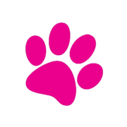 Sape.hr Logo